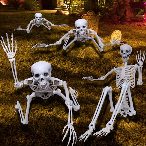 Halloween Life Size Posable Skeleton Full Body Plastic Decoration A932