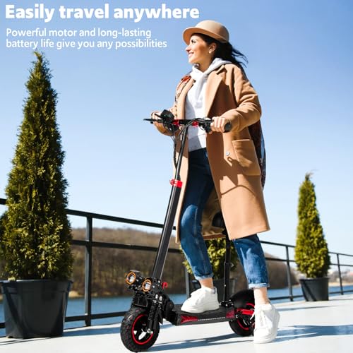 Off Road Electric Scooter Adults 800W 48V 11" All-Terrain Tires Dual Suspension B277