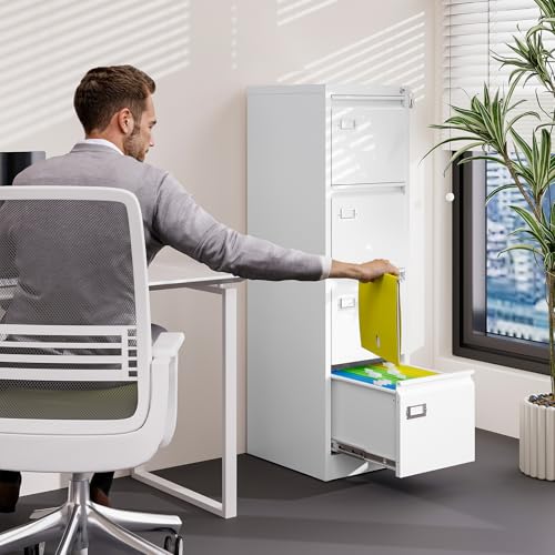 2 Drawer Vertical File Cabinet with Lock for Letter Size, Steel Office Storage Y50014