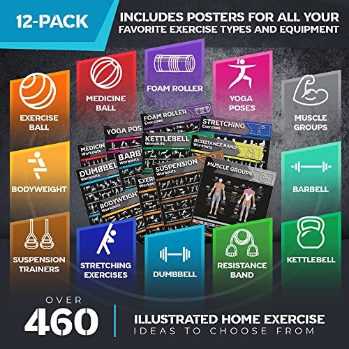Laminated Large Workout Poster Set for Home Gym Exercise Charts M2103