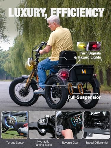 Folding Electric Tricycle for Adults, 1200W, 450lbs Load, UL Certified N810