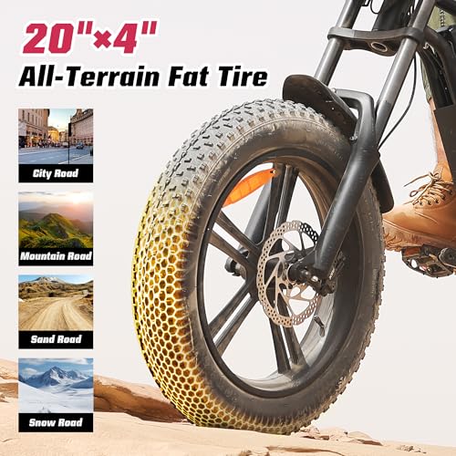 E2/K20 Electric Bike for Adults, 48V 13Ah/15Ah, 750/1000W Peak, 20"/26" Fat Tires Z839544