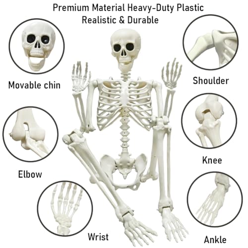 UMEELR 5.9FT Poseable Life Size Skeleton for Halloween Decoration B873000