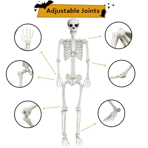 UMEELR 5.9FT Poseable Life Size Skeleton for Halloween Decoration B873000