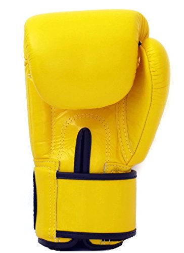 Fairtex BGV1 Muay Thai Boxing Training Sparring Gloves U66399