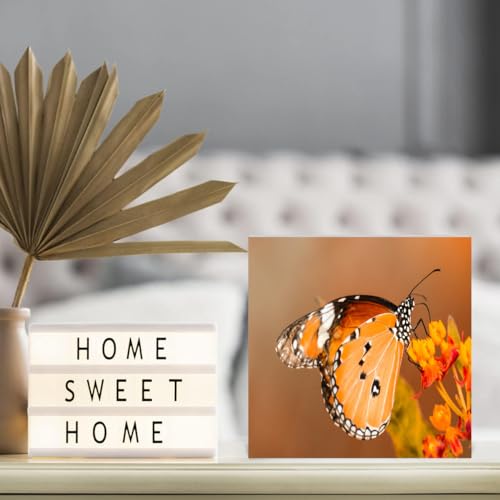 Inspirational Wood Box Sign Motivational Desk Decor 7x7 Inch C4413