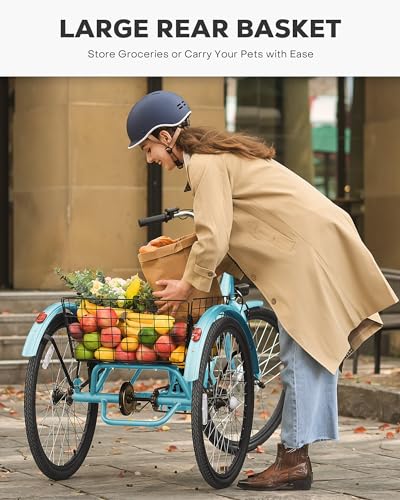 Viribus Electric Tricycle for Adults, 24 Inch 250W with Removable Battery I492