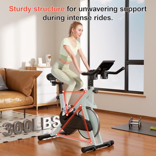 Magnetic Resistance Exercise Bike for Home, 300lbs Capacity M735