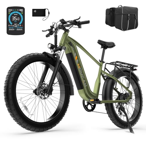 EB60 26" Fat Tire Electric Bike for Adults, 2000W Motor, 48V 20.8AH Battery R225