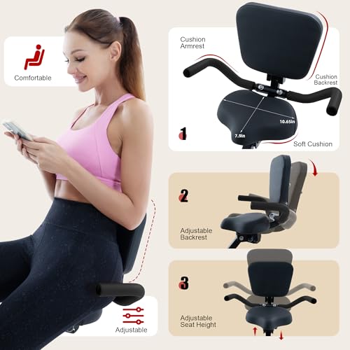 BARWING Foldable Exercise Bike for Home Workout, 350LB Capacity Z9564