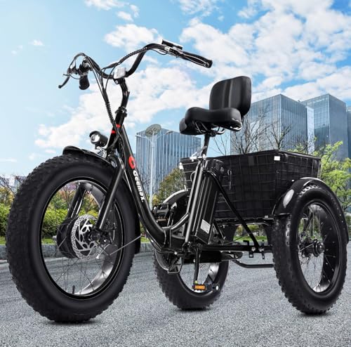 Geemax Electric Tricycle for Adults, 20" x 4.0 Fat Tire, 750W, Foldable 3-Wheel, Black V334