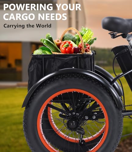 Electric Tricycle for Adults, 750W, Folding Fat Tire, 48V Removable Battery O76597
