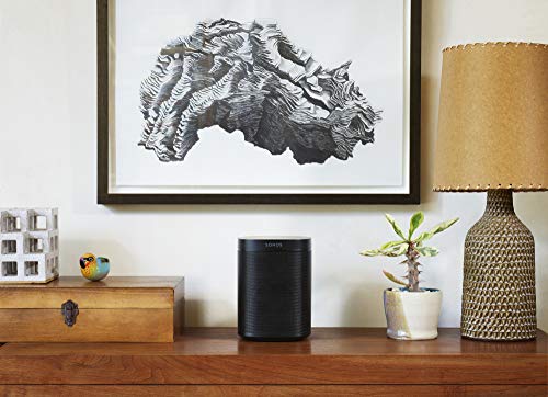 Sonos One (Gen 2) Smart Speaker with Alexa, Black J18069