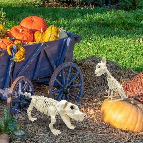 UMEELR 5.9FT Poseable Life Size Skeleton for Halloween Decoration B873000