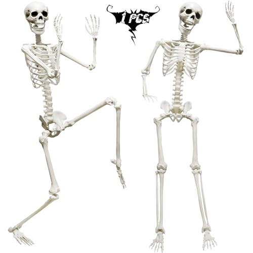 Life Size Skeleton with Posable Joints for Halloween Decor R4204