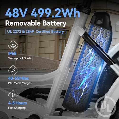 Vivi T01 20" x2.6 Fat Tire Electric Tricycle for Adults, 750W Peak, Folding 3-Wheel Bike D7496