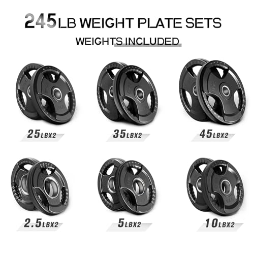RitFit Olympic Rubber Grip Plates 2-Inch for Barbell Weightlifting Strength Training Z70542
