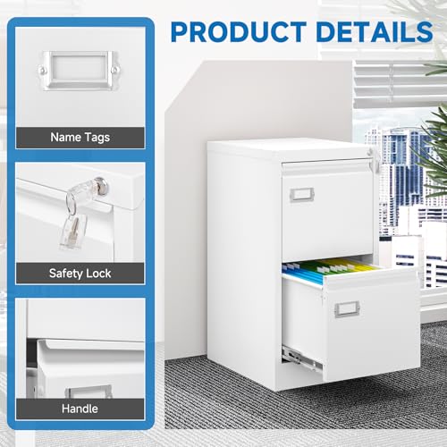 2 Drawer Vertical File Cabinet with Lock for Letter Size, Steel Office Storage Y50014