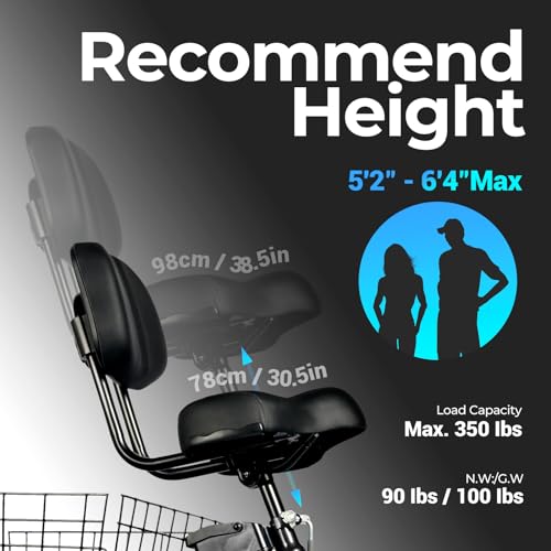 Geemax Electric Tricycle for Adults, 20" x 4.0 Fat Tire, 36V 350W, UL Certified G6829
