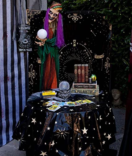Animated Talking Fortune Teller Witch Halloween Decor A585309