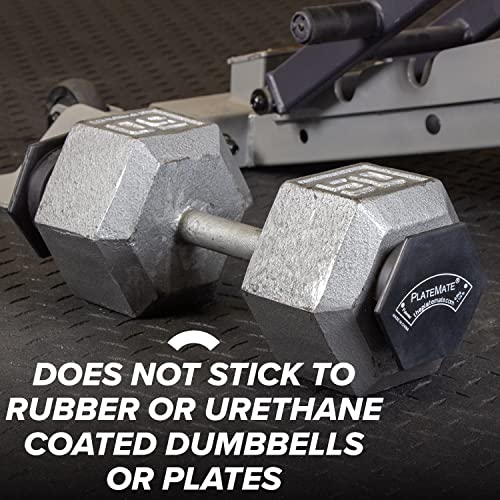 Microload Pair Magnetic Weights 1.25 lbs or 2.5 lbs Hex B9518