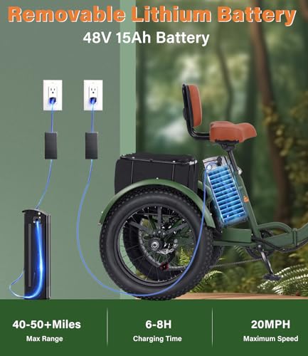 Electric Tricycle for Adults, 750W, Folding Fat Tire, 48V Removable Battery O76597
