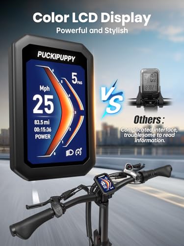 Electric Trike for Adult with 750W Motor, 48V Battery, 20" Fat Tire Y5910