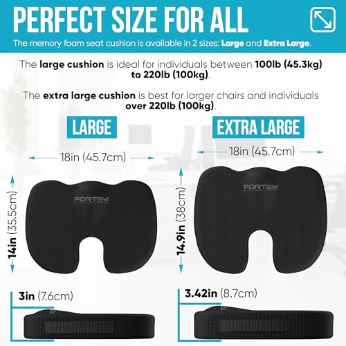 FORTEM Office Chair Cushion and Back Support, Memory Foam Lumbar Pillow, Non Slip, XL V440