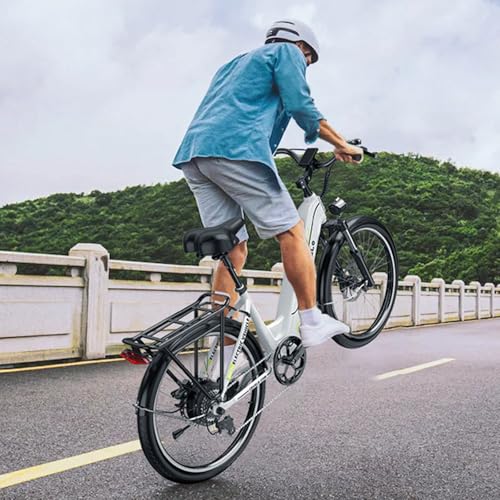 DriftGod 26" Electric Bike for Adults, 1000W Motor, 48V Removable Battery B544