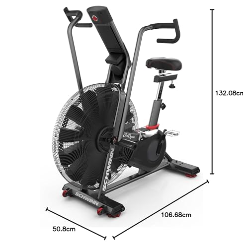 Schwinn Airdyne Bike Series D8174