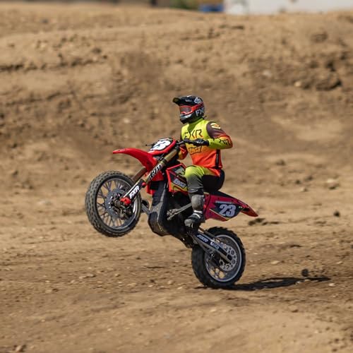 Losi Promoto-MX 1/4 RC Motorcycle Red LOS06000T1 Y7246