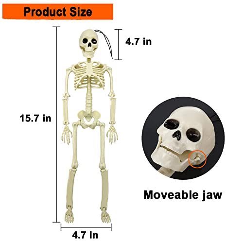 UMEELR 5.9FT Poseable Life Size Skeleton for Halloween Decoration B873000
