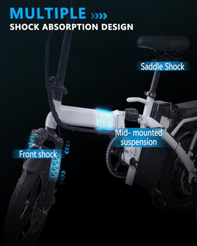 Folding Electric Bike for Adults with Removable Battery P213045