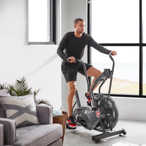 Schwinn Airdyne Bike Series D8174