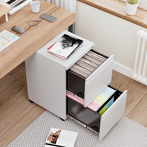 2 Drawer Vertical File Cabinet with Lock for Letter Size, Steel Office Storage Y50014