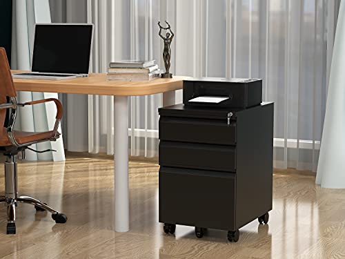 2 Drawer Vertical File Cabinet with Lock for Letter Size, Steel Office Storage Y50014