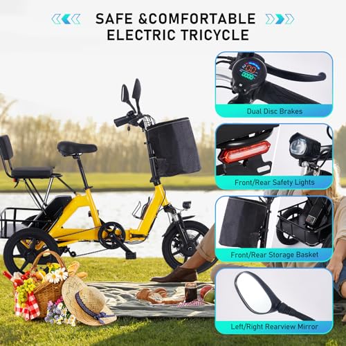 Foldable Electric Tricycle for Adults, 350W, Removable Battery, 2-Seat with Basket E2471