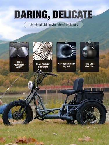 Folding Electric Tricycle for Adults, 1200W, 450lbs Load, UL Certified N810