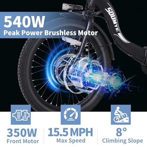 Electric Tricycle 20" Folding 350W Step-Thru for Adults with Removable Battery J2379