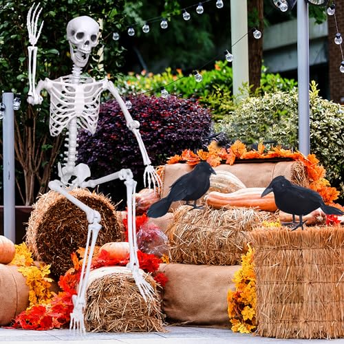 Wocst 6Ft Life Size Posable Skeleton with Movable Joints for Halloween Decor Y682720