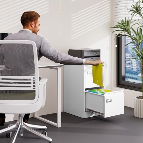 2 Drawer Vertical File Cabinet with Lock for Letter Size, Steel Office Storage Y50014