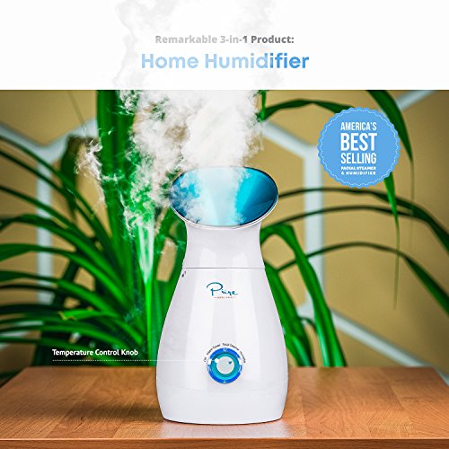 Pure Daily Care NanoSteamer Large 3-in-1 Nano Ionic Facial Steamer with Temp Control, Teal B192