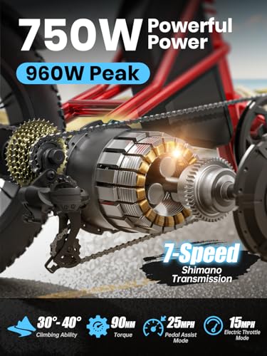 Electric Trike for Adult with 750W Motor, 48V Battery, 20" Fat Tire Y5910