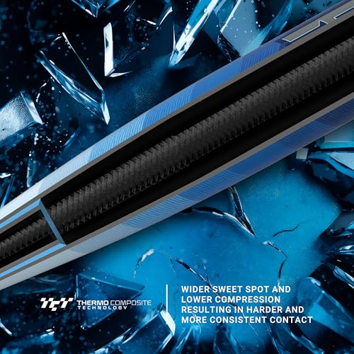 Easton Hype FIRE Baseball Bat USSSA 2 3/4" Barrel 2 Pc Composite V423