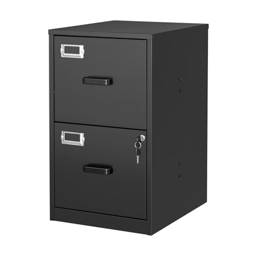 2 Drawer Vertical File Cabinet with Lock for Letter Size, Steel Office Storage Y50014