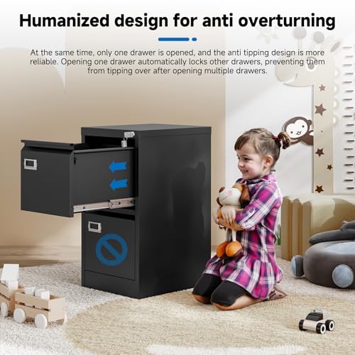 2 Drawer Vertical File Cabinet with Lock for Letter Size, Steel Office Storage Y50014