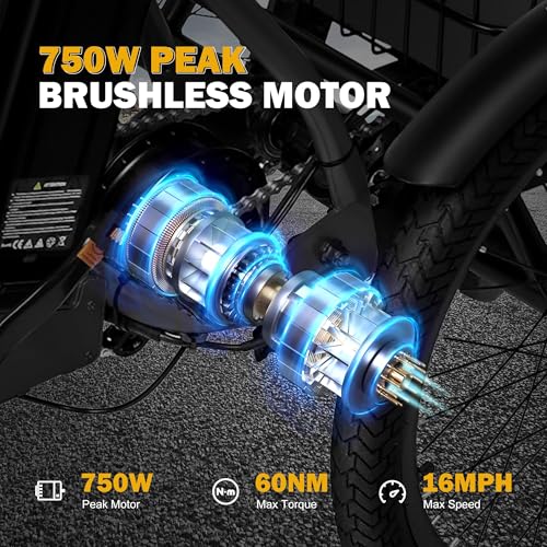 Triker Electric Bike Folding Trike Ebike, 750W Motor, 468Wh Battery, Step-Thru 3 Wheel Tricycle for Adults X7056