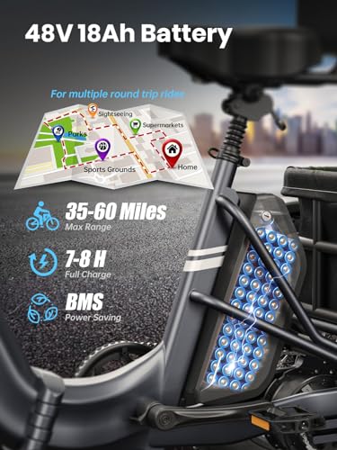 Electric Trike for Adult with 750W Motor, 48V Battery, 20" Fat Tire Y5910