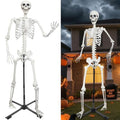 5.4Ft/165cm Skeleton Decor,Halloween Skeleton Life Size Skeleton Realistic Plastic Human Bones with Movable Joints for Halloween Dia de Los Muertos Decoration (Gray, 5.4ft)