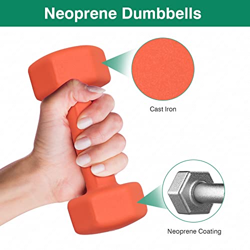 Neoprene Dumbbell Hand Weight Pairs for Home Gym Exercise N796